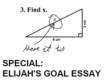 Elijah's Goal Essay